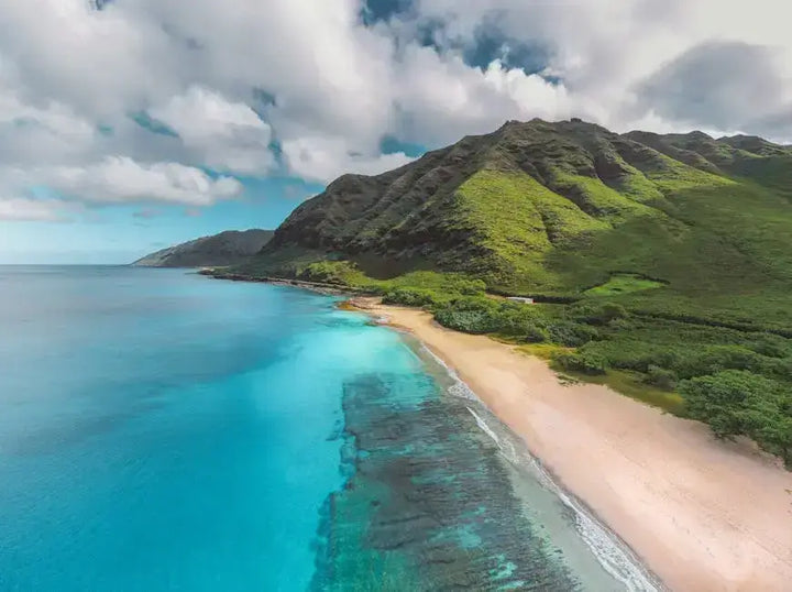 Revitalizing Your Hawaiian Adventures with Natural SuddenRush Sources Mana Rush Guarana