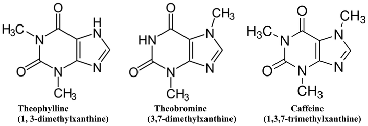 What are Caffeine, Theobromine, and Theophylline? Mana Rush Guarana