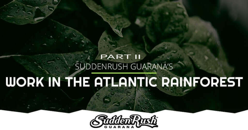 ATLANTIC RAINFOREST INSTITUTION aka ARFI