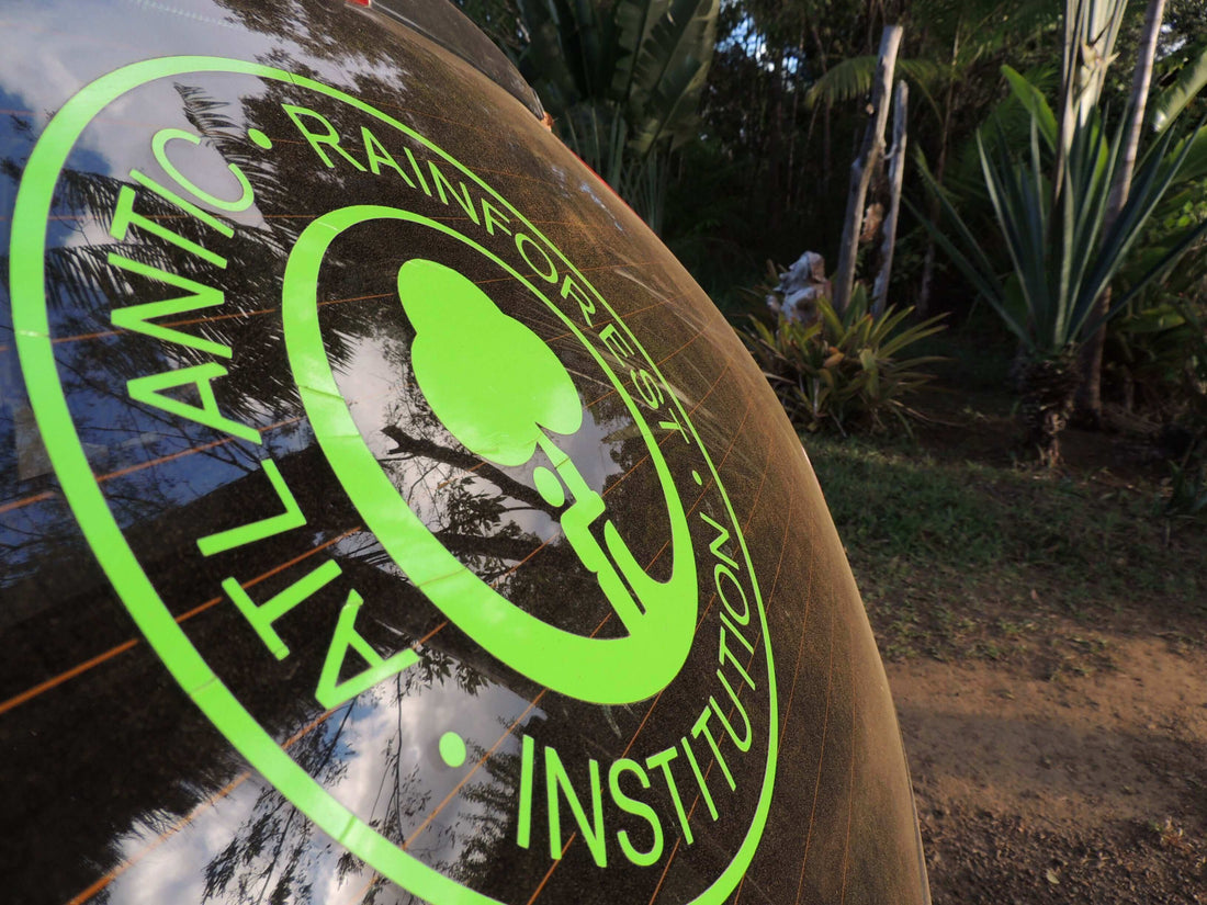 Our Atlantic Rainforest Institution Mission Mana Rush Guarana