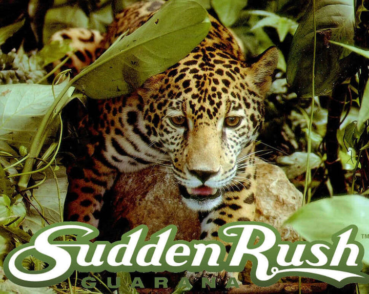 ¿Dónde Comprar Guaraná en EE. UU.? Descubre Por Qué SuddenRush Guarana es la Mejor Opción Mana Rush Guarana