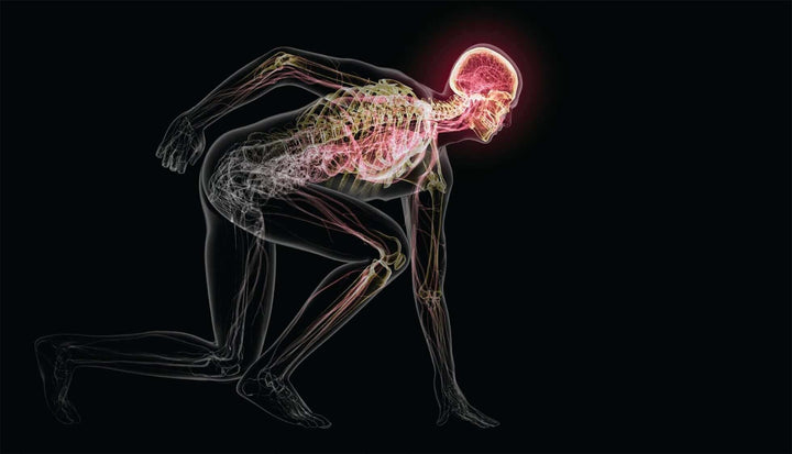 Why Your Brain Needs Exercise Mana Rush Guarana