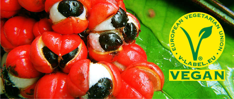 The Curious Case of Guarana: Unraveling the Mystery of Misspellings Mana Rush Guarana