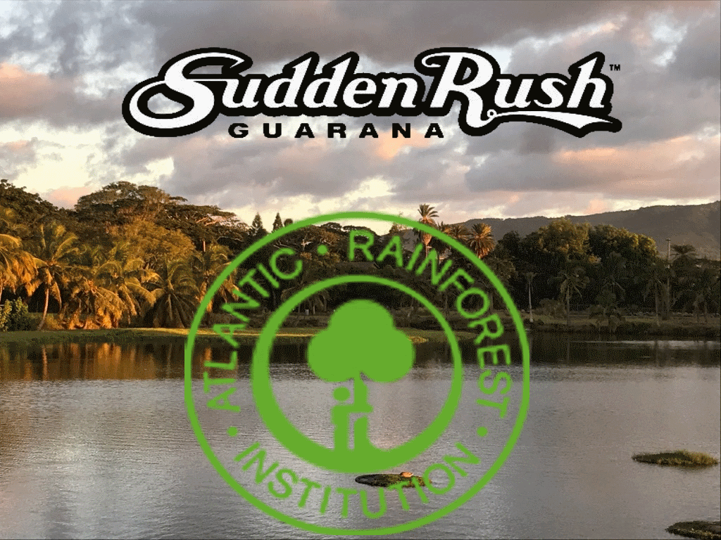 Rain Forest Biodiversity Biodiversity - short for biological diversity - is the number and types of organisms in an ecosystem, region or environment. THE BIODIVERSITY OF THE RAINFOREST The loss of tropical rainforests has a profound and devastating impact