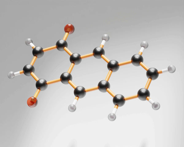 Adenosine, Caffeine, and Sleep: The Science of When to Start — and When to Stop