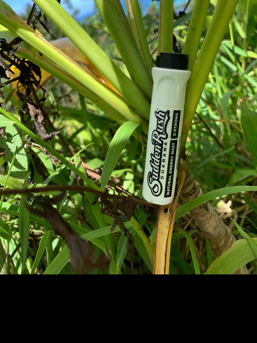 Unlocking the Energy Puzzle: Coffee vs Guarana, and More! Mana Rush Guarana