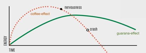 The Difference between Guarana and Coffee Beans Mana Rush Guarana