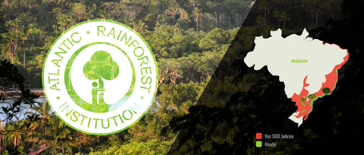 "SuddenRush Guarana and the Atlantic Rainforest Institute: Protecting Biodiversity and Promoting Sustainability" Mana Rush Guarana