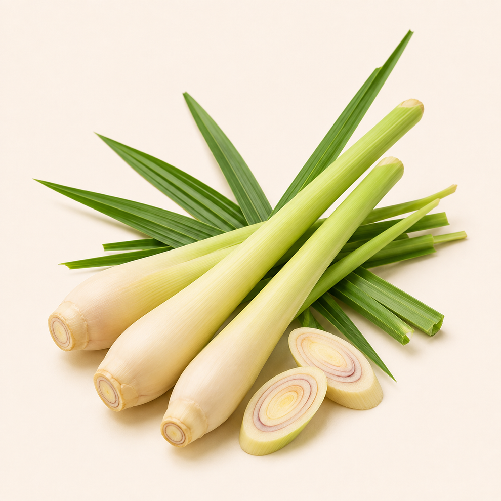 Fresh lemongrass stalks and leaves for Mana Reserve Lemongrass flavor